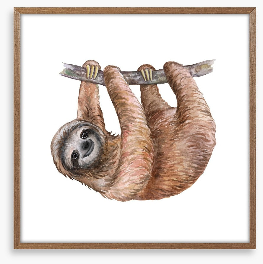 Hanging sloth