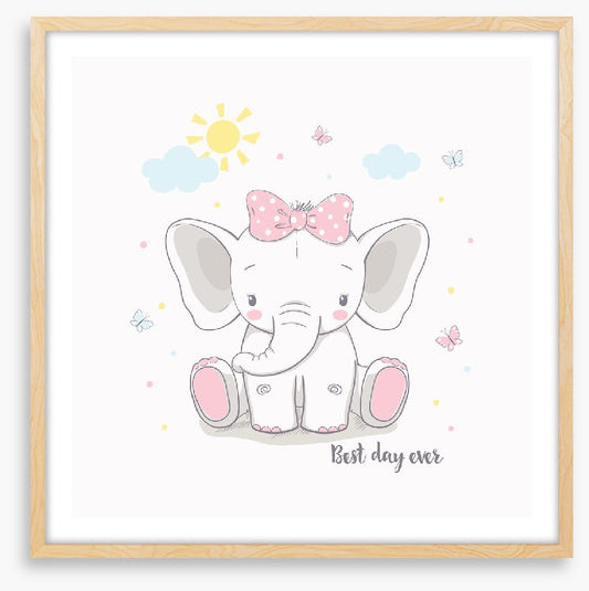 Elephants