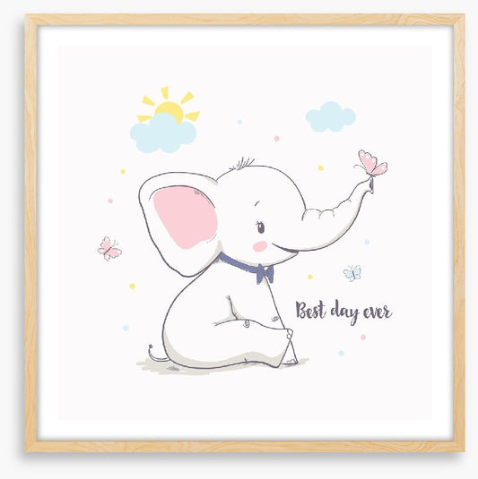 Elephants
