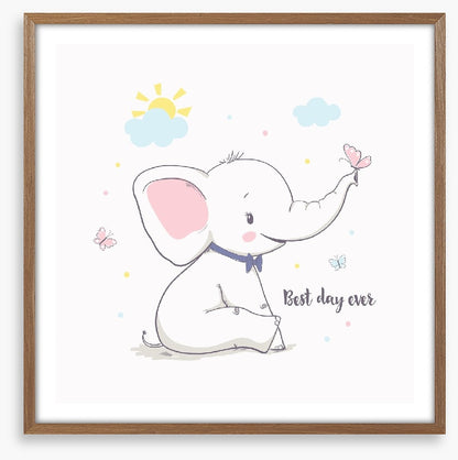 Elephants