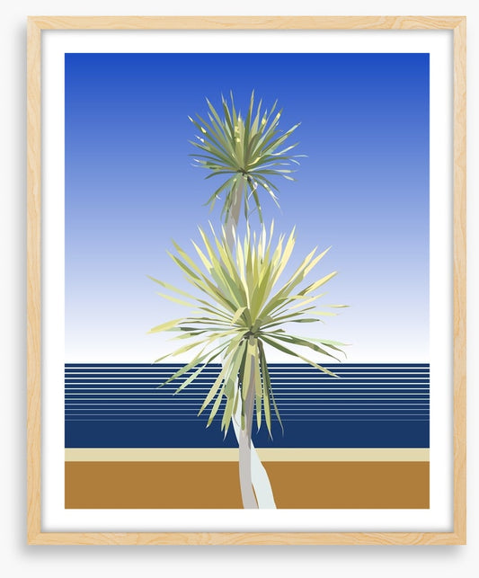 Dracaena duo
