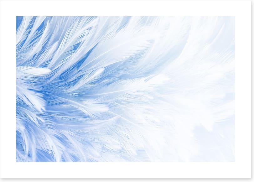 In fine feather