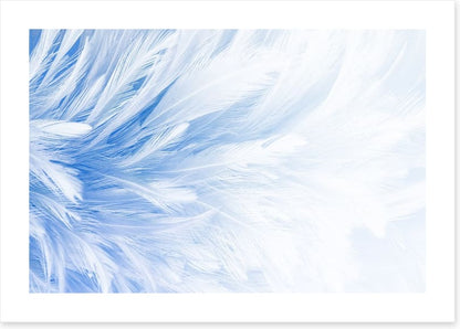 In fine feather