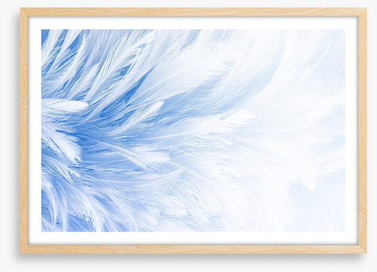 In fine feather