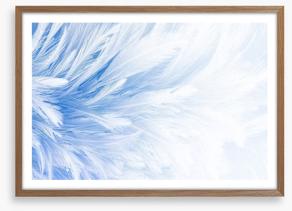 In fine feather