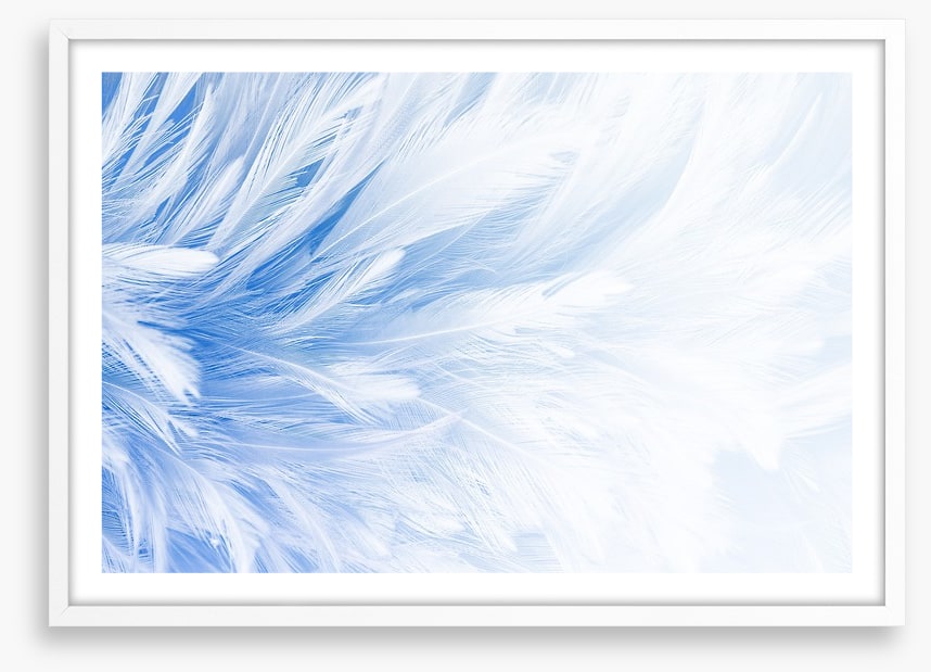 In fine feather