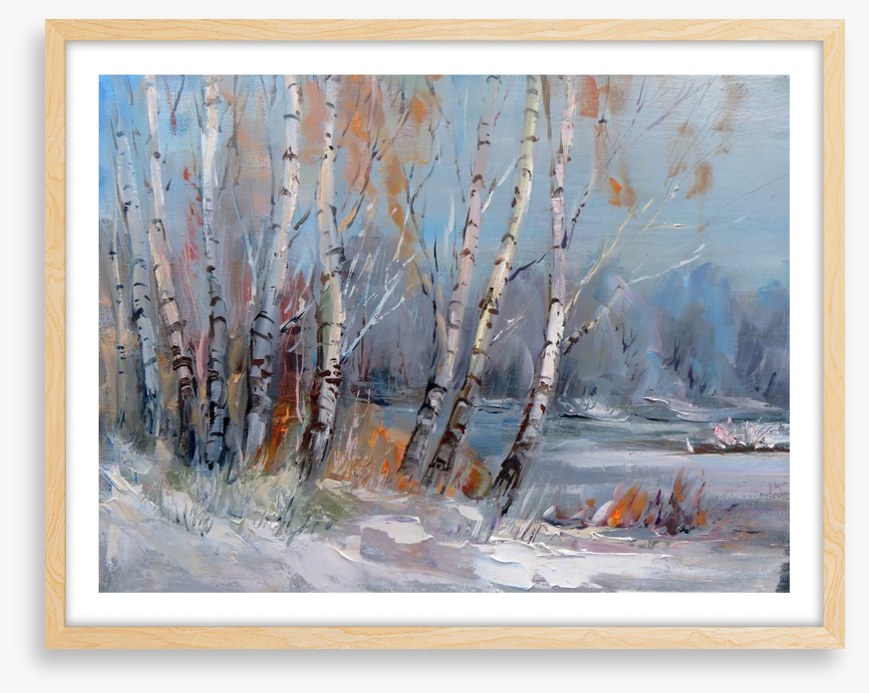 Frozen birch forest
