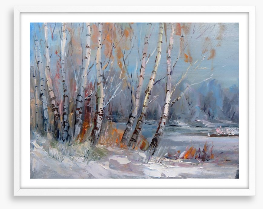 Frozen birch forest