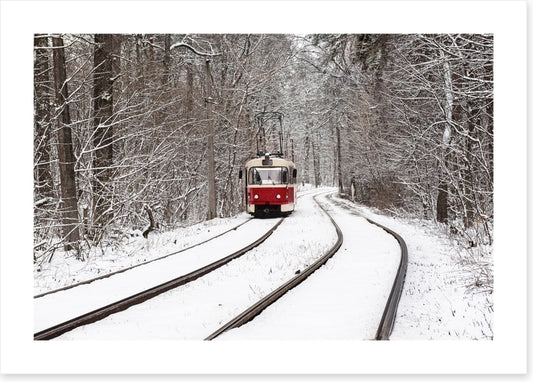 Snow forest tram