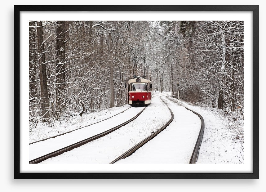 Snow forest tram