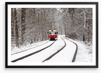 Snow forest tram
