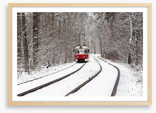 Snow forest tram