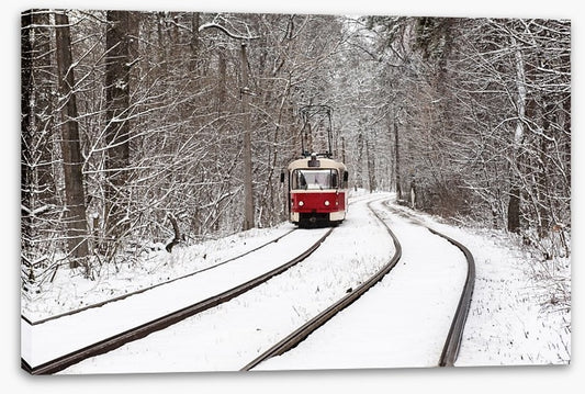 Snow forest tram