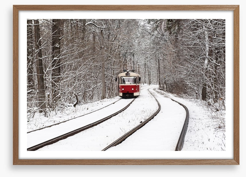 Snow forest tram