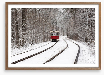Snow forest tram