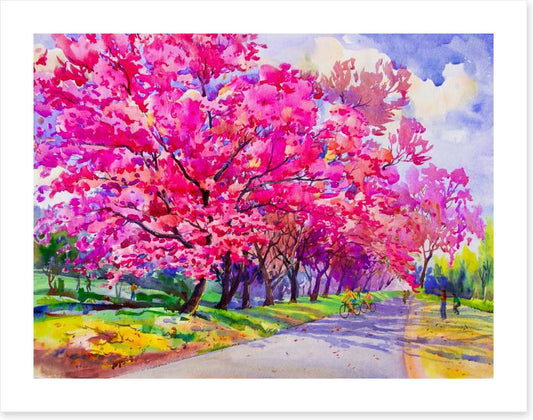 Cherry blossom path
