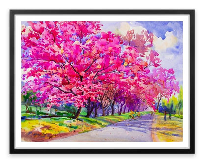 Cherry blossom path