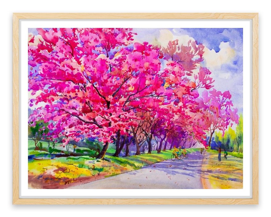 Cherry blossom path