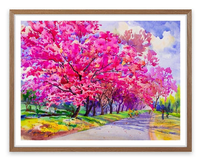 Cherry blossom path