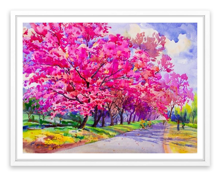 Cherry blossom path