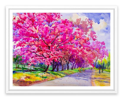 Cherry blossom path