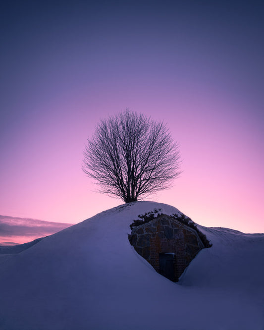 Dawning day