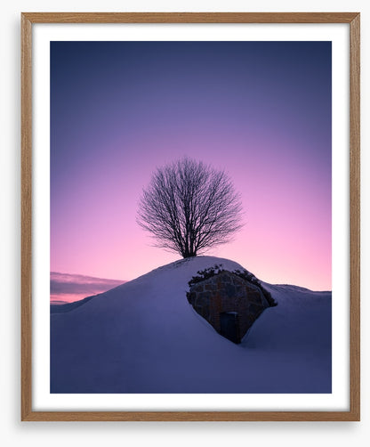 Dawning day