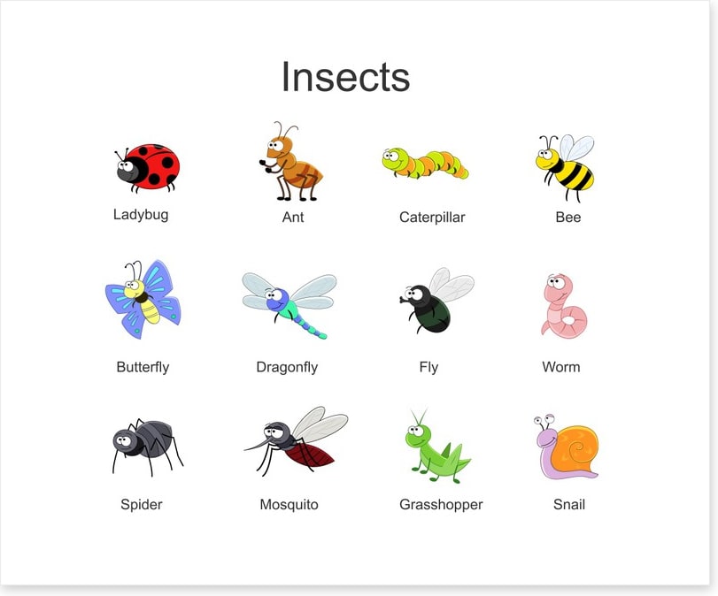 Happy Critters