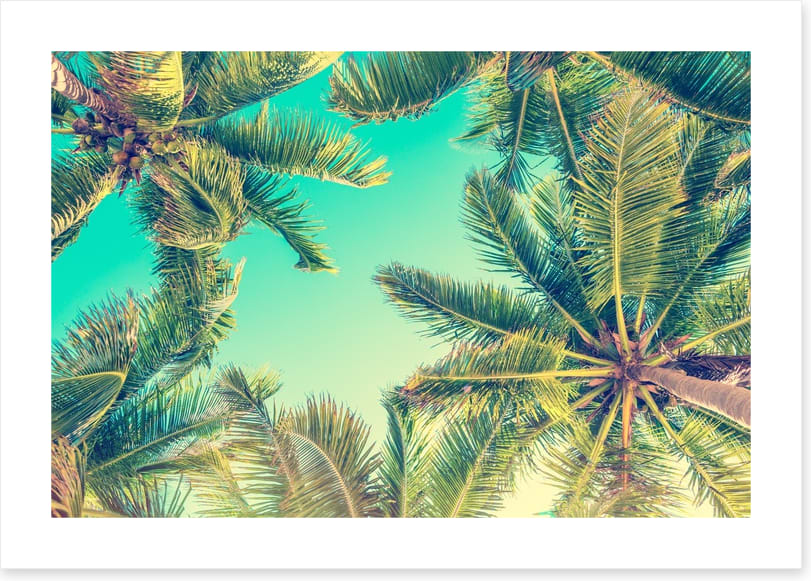 Under the palms