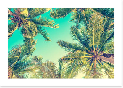 Under the palms