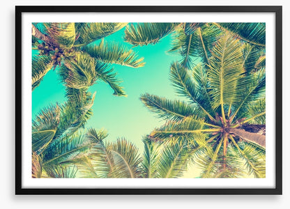 Under the palms