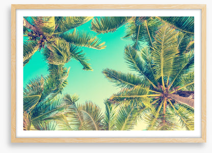 Under the palms