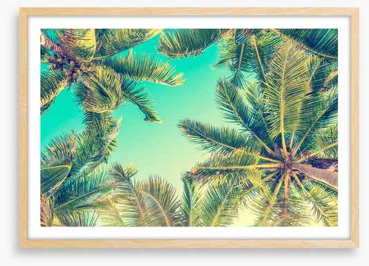Under the palms