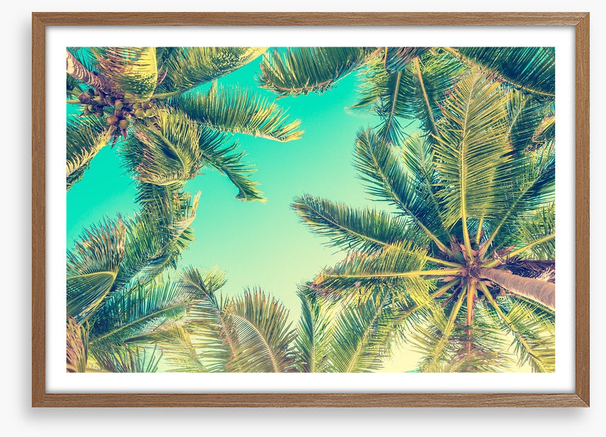 Under the palms