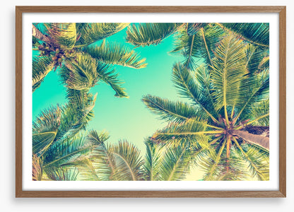 Under the palms
