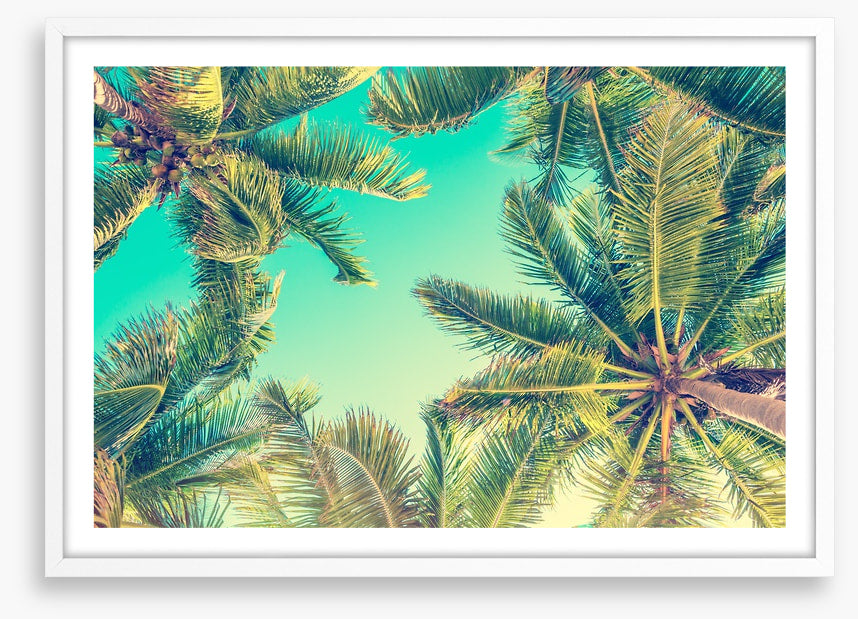 Under the palms