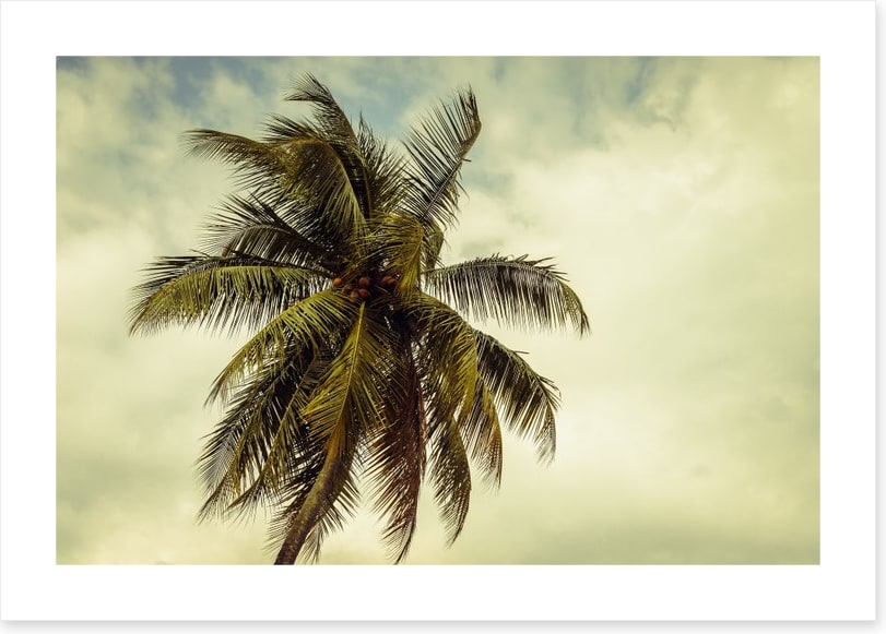Hurricane warning