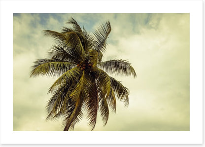 Hurricane warning