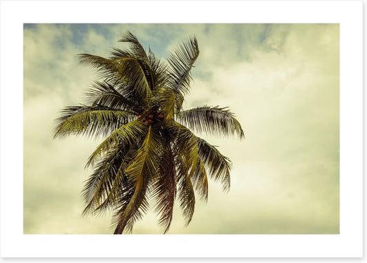 Hurricane warning