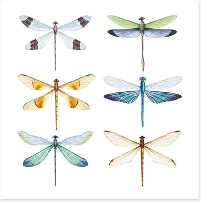 Dragonfly delight