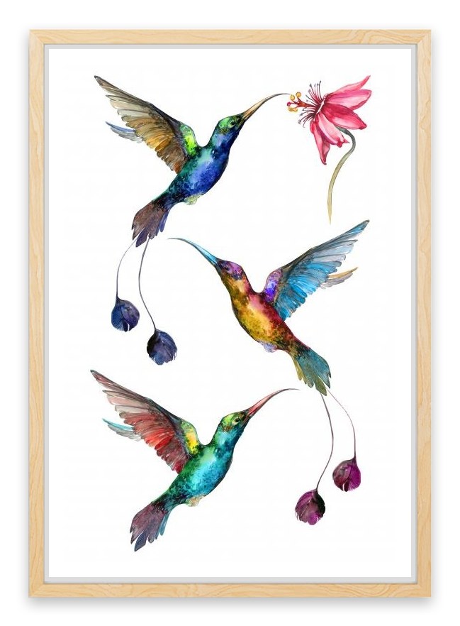 Birds