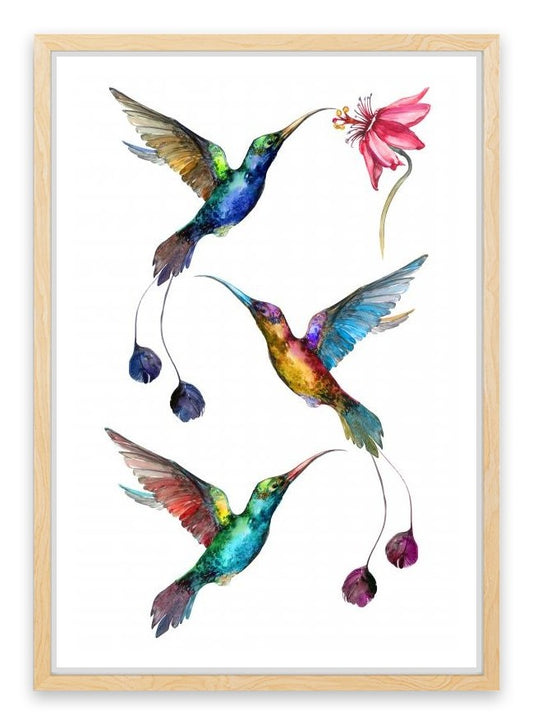 Birds