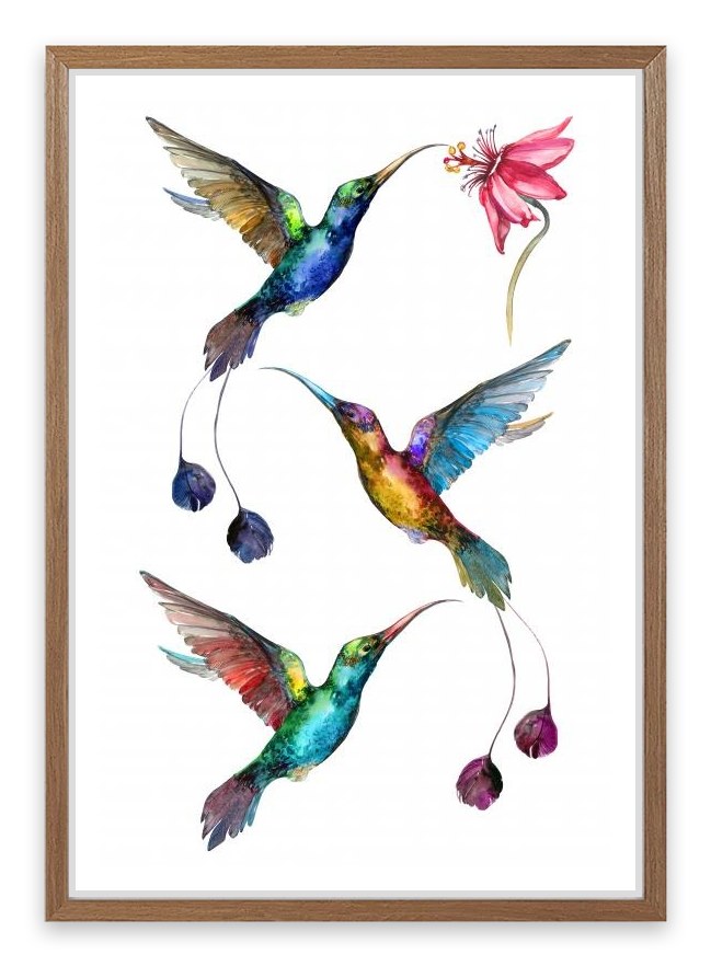 Birds