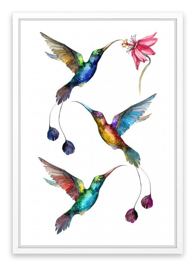 Birds