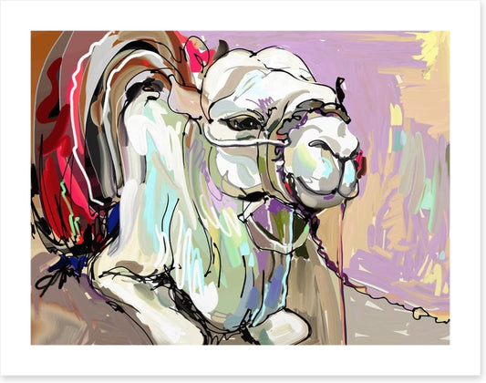 Animals