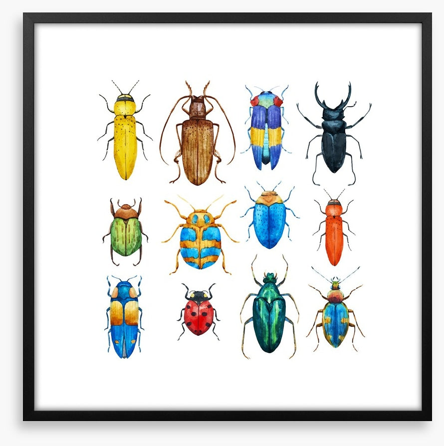 Beetle bugs