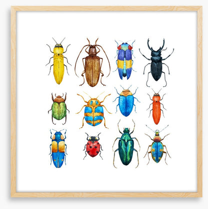 Beetle bugs