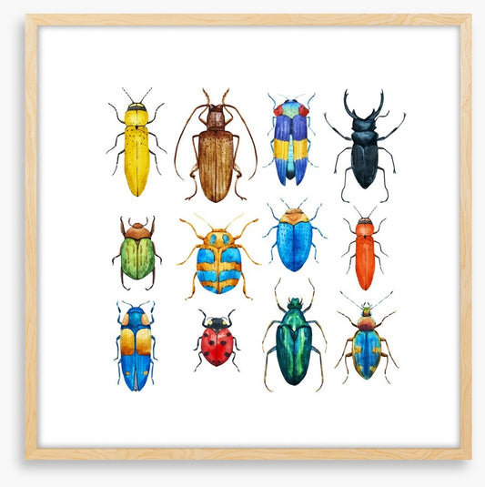Beetle bugs