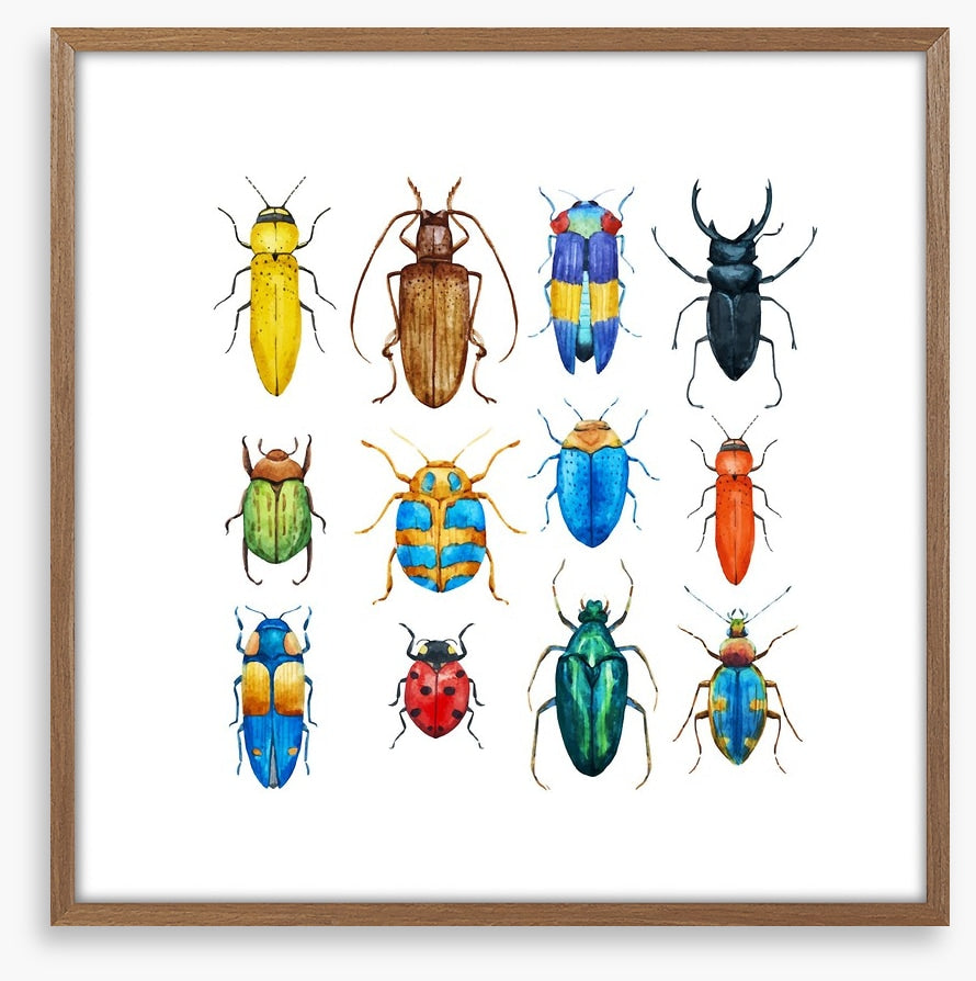 Beetle bugs