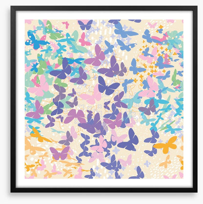 Butterflies